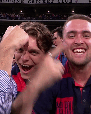 Melbourne Football Club Yes GIF by Melbournefc