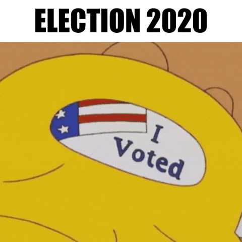 Election GIF