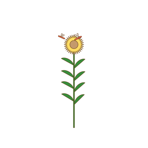 Summer Sticker