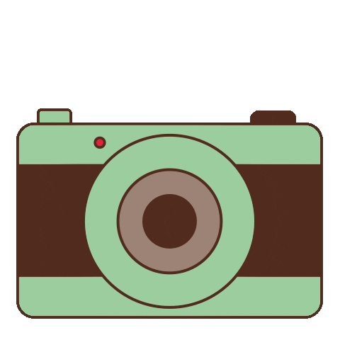 Selfie Camera Sticker by Zaans