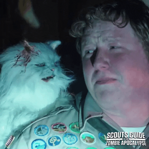 Cat Zombie GIF by Paramount Movies