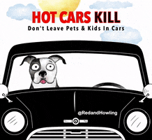 redandhowling dogs cars pets heatwave GIF