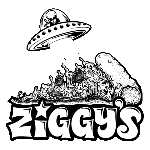 Ziggys Stardust Sticker