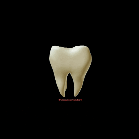 OrangeCountySmilesFl teeth dentist ocsmiles drmarciamartinez GIF