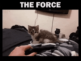 force GIF