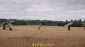 Summer Field GIF by Signature Entertainment