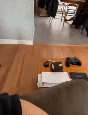 Dog GIF