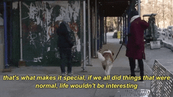 200.gif?cid=fc005b08046b102b0b4dd3d920eb34417483a0b83915459a&rid=200.gif&ct=g