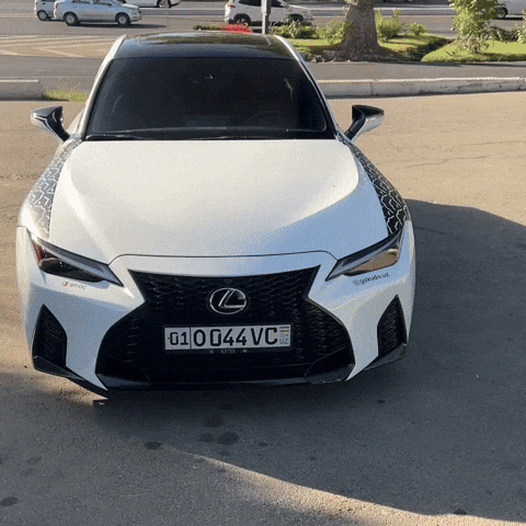 Lexus GIF