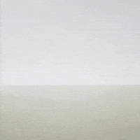 Chinese Art GIF by David Kims