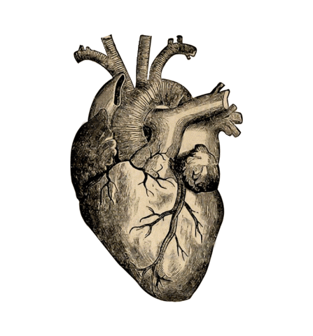 Mundo Fiocruz Sticker