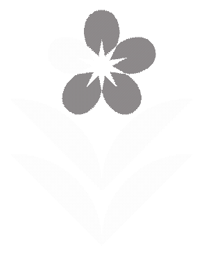 Gilbert Arizona Flower Sticker by The Petal Press