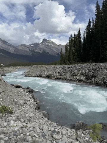 Canada Stream GIF