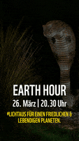 Earth Hour Snake GIF by WWF Deutschland