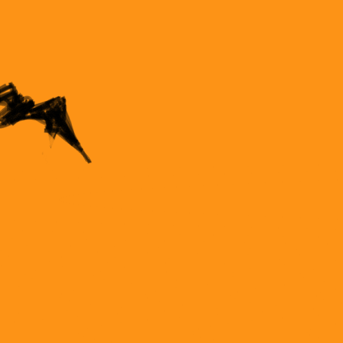 bat GIF