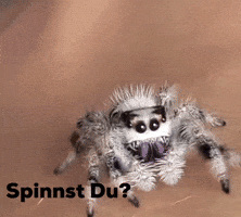 Funny Animal Frage GIF