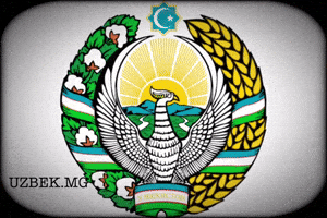 Uzbekmg GIF