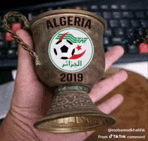 Algeria Dz GIF