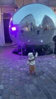 200.gif?cid=fc005b08978d7f7631a0848000ef1b5bc246f20f806a479d&rid=200.gif&ct=g