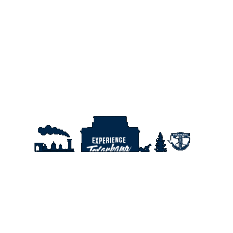 Experience Texarkana Sticker