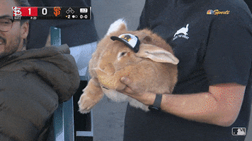 Chilling Hold Me GIF by San Francisco Giants