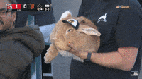 Chilling Hold Me GIF by San Francisco Giants