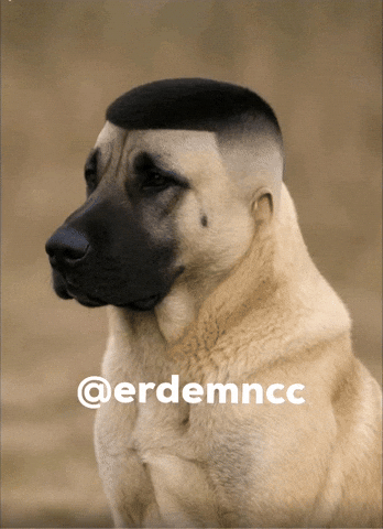 Erdemncc GIF