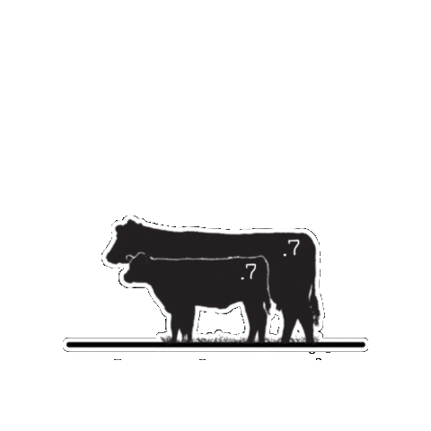 Dot Seven Ranch Sticker