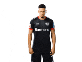 Bayer 04 Werkself GIF by Bayer 04 Leverkusen