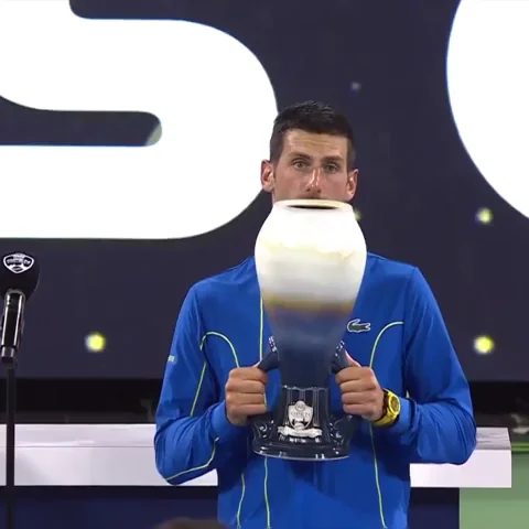 Novak Djokovic Winner GIF