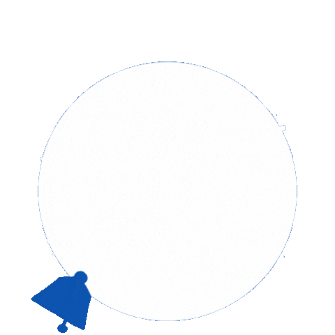 Climbing Technology Sticker