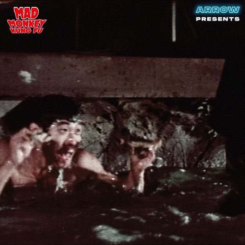 Martial Arts Swimming GIF by Arrow Video