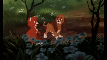 Animation GIF