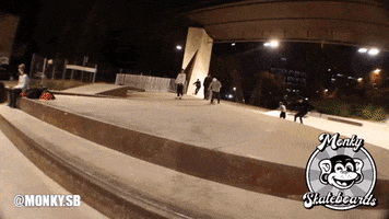 Skate GIF