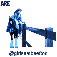 Girlseatbeeftoo Sticker by BullPEN