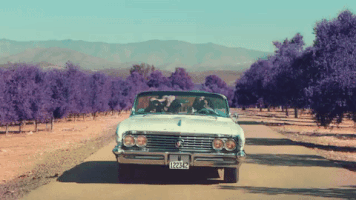 jdjp zayn malik perrie edwards little mix teddy GIF