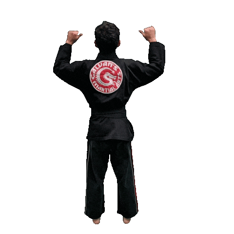 Karate Taekwondo Sticker by Team GMA