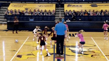 Lets Go Yes GIF by Canisius Athletics