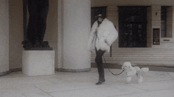 oui one GIF