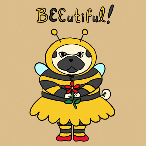 Digital art gif. A pug dog wears a bee costume and holds a red flower as text flashes above head. Text, "Beeutiful!" 