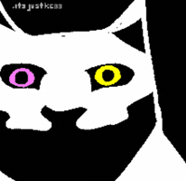 Cat Friend GIF