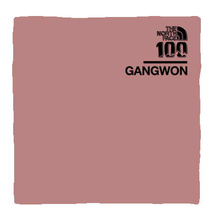 TNF100_GANGWON Sticker