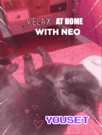 Cat Love GIF by PIMP TA MARQUE