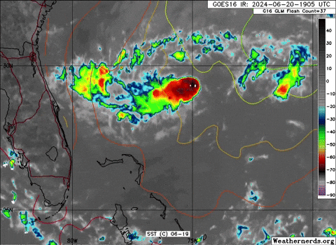 giphy.gif?cid=9b38fe91qjch9pwhj3anbny5jt