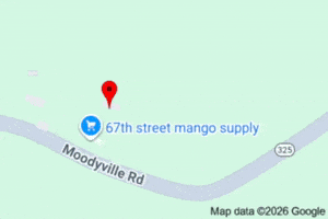 Google Map Street GIF