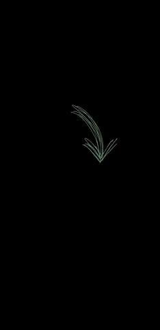 VanderPlassprouts green arrow groen pijl GIF