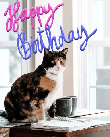 Cat's Birthday GIFs - 40 Animated Images For Free | USAGIF.com