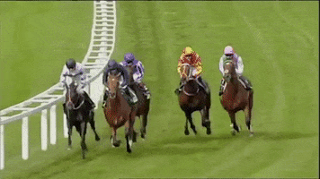 sir henry cecil champion GIF by World Horse Racing