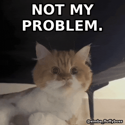 Reaction Gif GIF