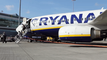 Ryanair GIF